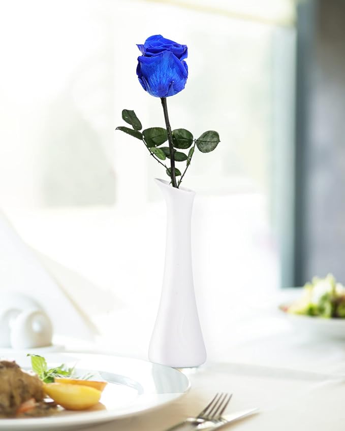 Blue Flowers for Delivery Prime, Preserved Blue Roses Flower Gifts for Women, Real Roses Single Rose Gifts for Her, Mom Birthday Gifts from Daughter, Valentines Flowers