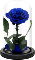 NATROSES Handmade Preserved Roses in Glass Dome, Blue Roses, Preserved Flowers Gifts for Women, Mothers Day Flowers