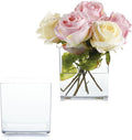 2 Pack Acrylic Cube Vases 5 X 5 Inch, Clear Square Vases, Shatterproof Flower Vase Decorative Centerpiece for Home, Wedding