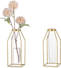 Sziqiqi Glass Tube Vase with Metal Stand - Modern Flower Vase Propagation Station for Plants Minimalistic Wire Square Vase for Room Decor Office Wedding Table Decoration