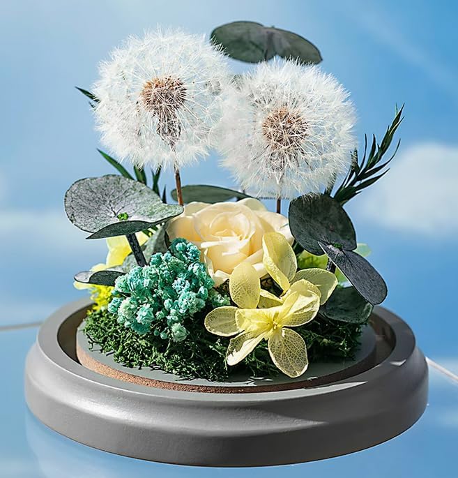 JoyFlower Preserved Dandelion in Glass Dome, Real Dandelion Eternal Flowers Gifts for Women Girlfriend, Preserved Flowers Friendship Birthday Graduation Gifts for Best Friends Sisters Daughter Son