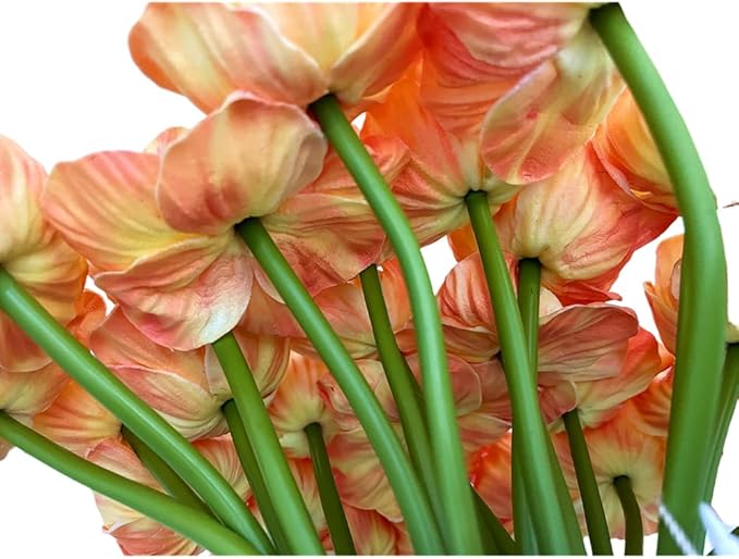 14Pcs Real Touch Anemone Poppy Bouquet for Artificial Flower Decor Kitchen Table Centerpiece Vase Home Greenery Wedding Holding Flowers Backdrop Arch Wall (Champagne)