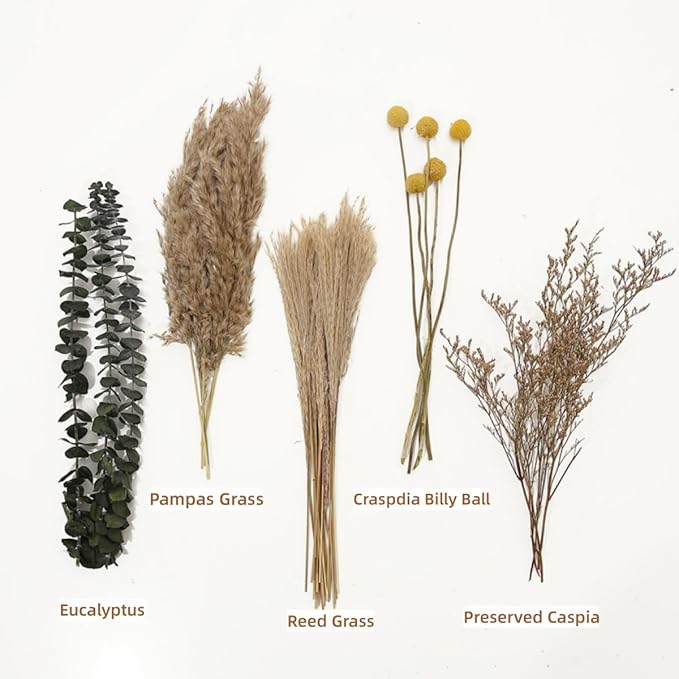 Dried Flowers Boho Bouquet,Pampas Grass for Western Decor,Rustic Farmhouse Flower for Bohemian Home,Bedroom,Living Room,Wedding Table Centerpieces (Bouquet_B, 17 inches)