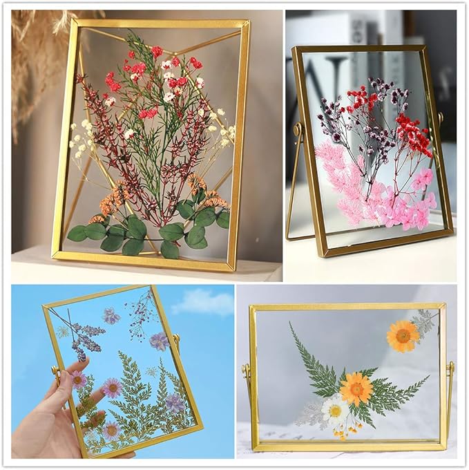Vignee Real Dried Pressed Leaf Flowers-Multiple Colorful Pressed Flowers Daisies for Craft Resin Jewelry Making Art Craft DIY（White&Light Pink）