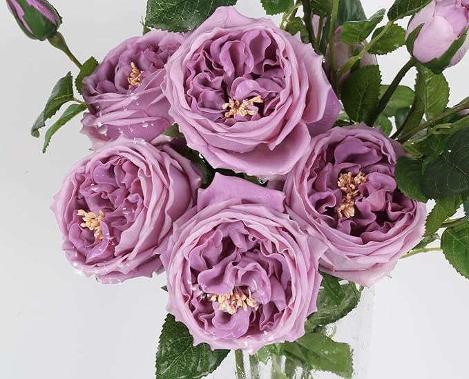 Real Touch Purple Austin Roses Peonies Artificial Flowers 4 Bouquets Latex Fake Peonies with Long Stem Realistic Faux Peonies for Wedding Party Home Table Centerpieces Decor (Deep Purple)