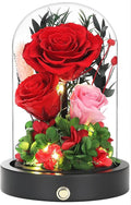Birthday Gifts For Women Mom, Preserved Flowers in Glass Dome, Forever Flowers for Delivery Prime,Real Eternal Roses Mothers Day Valentines Day Christmas Anniversary for Grandma Wife Her Red