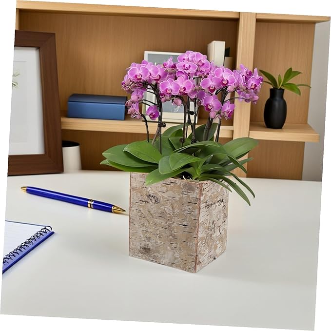Rustic Birch Bark Flower Pot Decorative Planter for Succulents and Cacti Vintage Wood Bark Vase for Flower Arrangement DIY Holiday Rustic Plant Container for Home Garden Decor