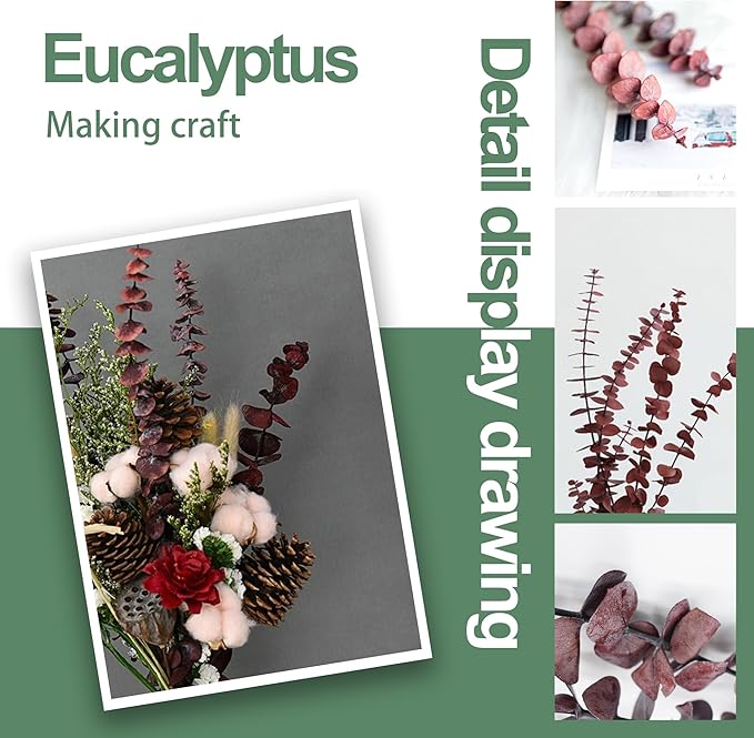(20Pcs) Dried Eucalyptus Stems - Red, Fall Decorations for Home, Real Long Eucalyptus, Dried Flowers for Vase, 17" Floral Arrangement, Wedding (Orange)