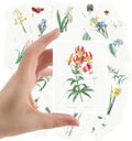 Large Stickers 24 pcs (2.5"x3.5" Each) Iris Lillies Vintage Botannical Books Illustrations by Redoute Retro Postcards Greeting Card Reprint