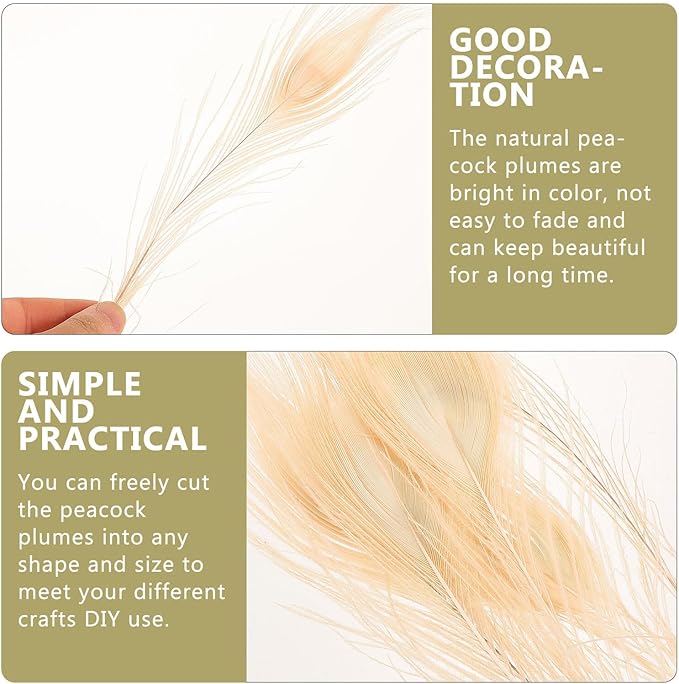 Artibetter 5Pcs Natural White Iridescent Plumes for DIY Crafts Wedding Party Decor Sterilized Plumage Accessories for Home Decoration Costume Floral Arrangements and Hair Accessories