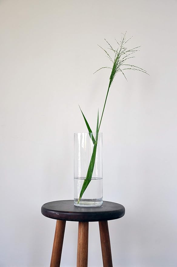 WGV Quality Thick Cylinder Vase, Diameter 5", Height 12", Clear Glass Floral Planter Container, Tall Centerpiece Arrangement for Wedding Home Decor, 1 Piece
