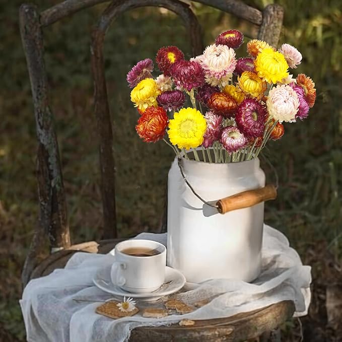 20 Pcs Natural Dried Daisy Flowers Bouquet Dried Flower Multicolor Daisies Dried Sunflowers Chrysanthemum Dry Flower with Stem for Wedding Farmhouse Table Vase Decor Home DIY Floral Arrangement