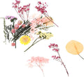 Natural Dried Flowers Material Bag for DIY Crafts Pressed Floral Bouquet Making Kit Romantic Handcraft Supplies for Greeting Cards Home Decoration and Wedding Embellishments