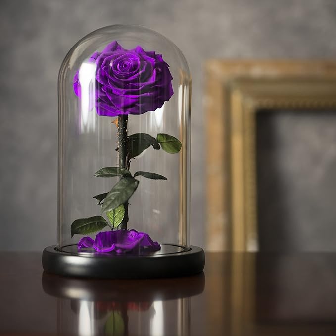Forever Preserved Rose - Eternal Rose in Glass Dome - Beauty and The Beast Rose for Mom - Fresh Flowers for Delivery Prime (Purple, 9 Inch)