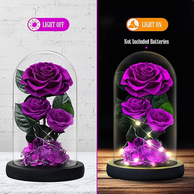 3 Preserved Flowers Roses in Glass Dome with Light for Beauty and The Beast Decor Real Rosas Eternas for Women Mom Birthday,Forever Purple Roses for Delivery, for Wife Girlfriend Her