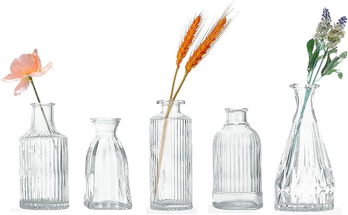 Glass Bud Vase Set of 5, Mini Clear Bud Vase for Centerpieces in Bulk, Small Vintage Flower Vases for Weddings Parties Home Table Decorative