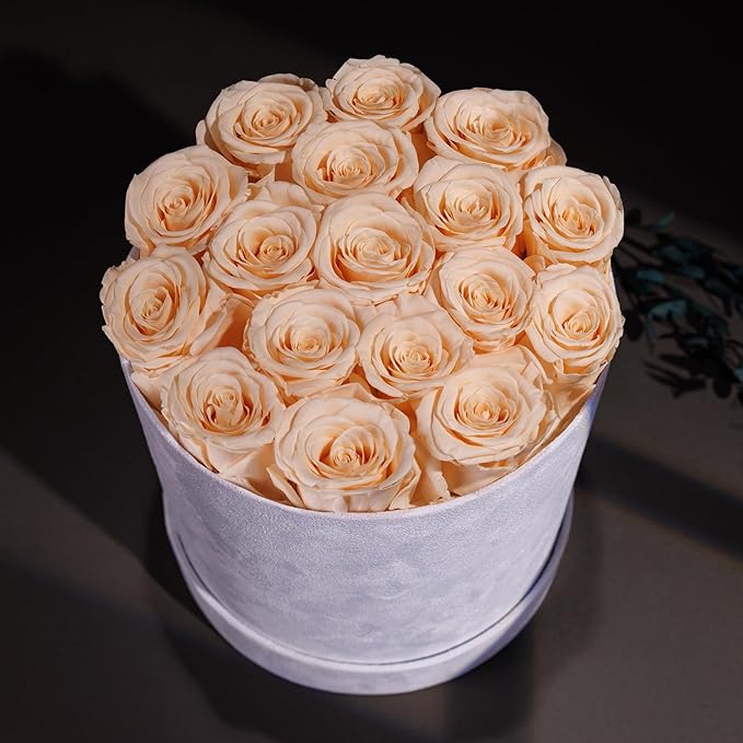 17 Flowers in a Luxury Suede Box, Birthday Gifts for Women, Preserved Flowers, Mothers Day Roses Gift for Mom, Champagne
