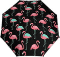 Fashion 3 Fold Sunny Rain Sunscreen Umbrella Portable Automatic Umbrella
