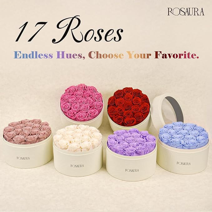 Rosaura Round Preserved Roses Gift Box - Real Forever Flowers for Birthday, Valentine's & Mother's Day (Cappuccino, 17 Roses)