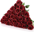 Hotop 20 Pcs Artificial Rose Flowers with Long Stem,Real Touch Silk Realistic Plastic Bouquet Roses Bulk for Home Decor Bridal Wedding Party Table Centerpieces Decorations(Wine Red)