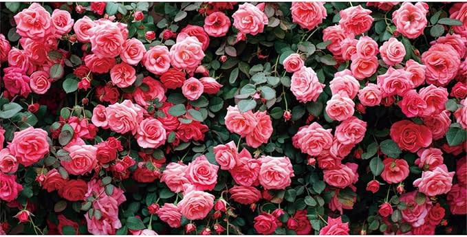 20x10ft Art Studio Flower Photo Background Pink Rose Photography Backdrop for Pictures Newborn Bridal Shower Birthday Party Banner Decor Photo Studio Props