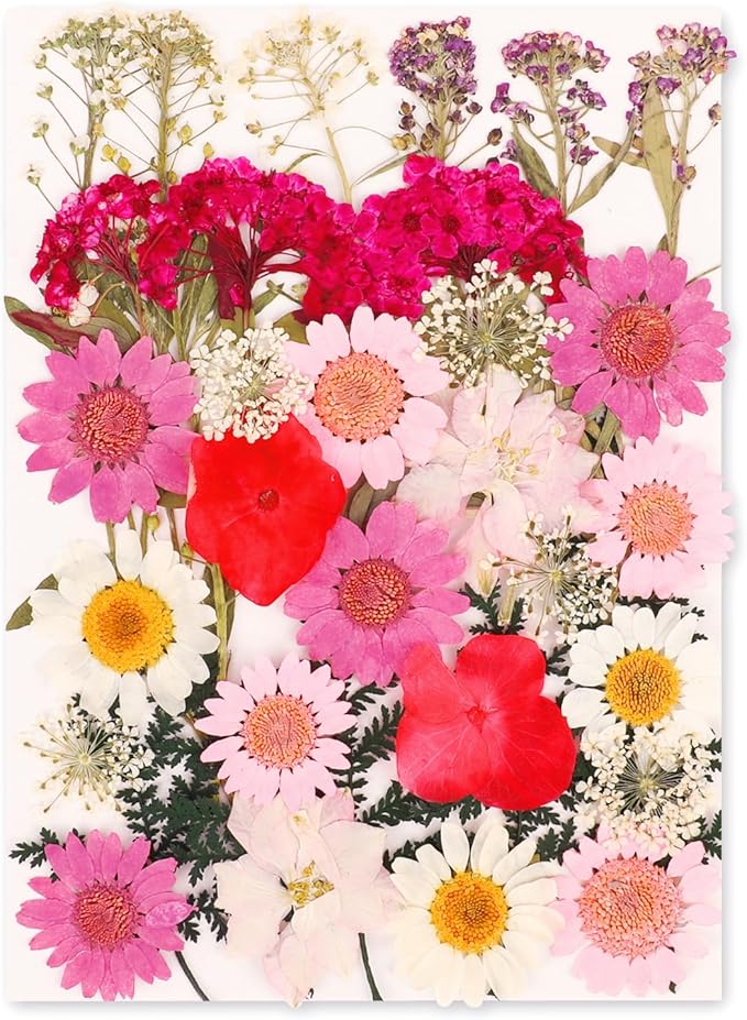 NESCCI 35 Pcs Dried Pressed Flowers for Resin,Real Nature Dried Flowers for Crafts Bulk Dry Flowers Leaves Kit Used for Resin Molds Scrapbooking DIY Art Crafts Candle Soap Making Nails Décor