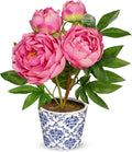 Briful Faux Peony Flowers in Blue and White Ceramic Pot – 13.8" Realistic Silk Peonies Artificial Peony Floral Arrangement Fake Potted Peony Flowers for Home Office Room Desk Shelf Decoration(Pink)