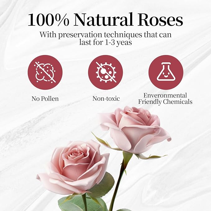 Flower, Forever Roses in A Box, Fresh Flowers, Birthday Gifts for Her, Women, Mom, Girlfriend, Wife, Grandma,Cream Forever Roses