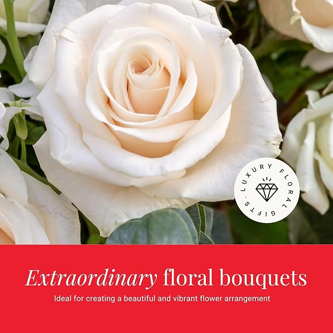 BloomsyBox - White Roses - 24 Long Stems,Long Lasting, Hand-Tied in Eco-friendly, Vase Not Included, Fresh Flowers for Delivery – Gift for Birthday, Anniversary, Get Well, Congratulations, Wedding