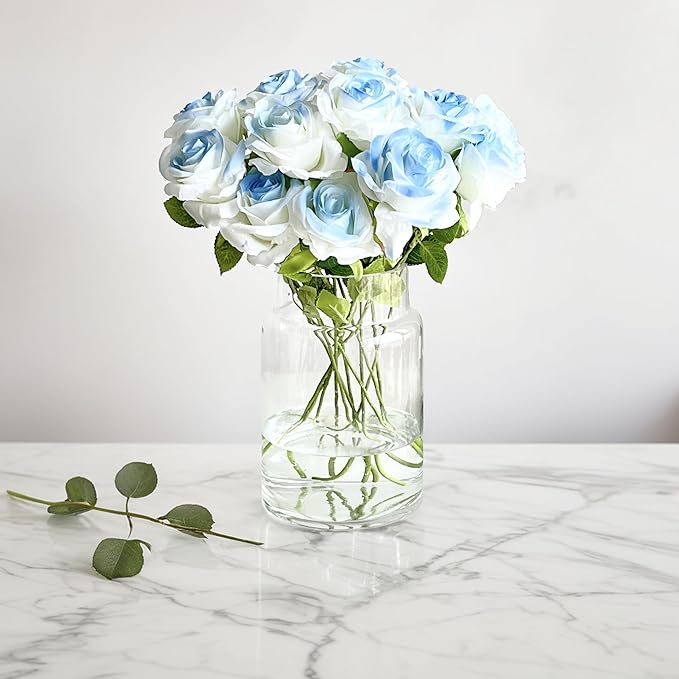 BLOFLO Clear Glass Vase, 9 Inch Large Glass Vase for Flowers, Modern Thick Glass Flower Vases for Centerpieces, Decorative Glass Cylinder Hydroponic Vase for Wedding, Home, Office (Clear, 9Inch)