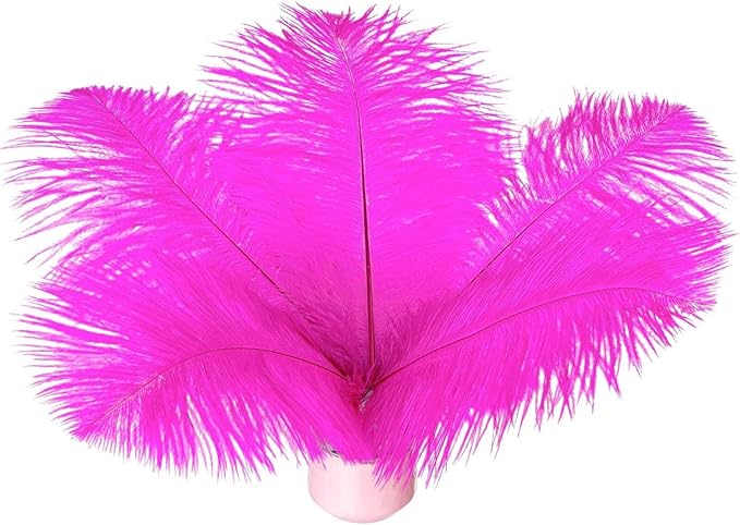 Piokio 20 pcs Fuchsia Ostrich Feathers Plumes 8-10 inch(20-25 cm) Bulk for DIY Handmade Artwork and DIY Clothes, Feather Pens, Dream Catcher, Table Decoration.