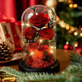 Birthday Gifts for Women Mom Fresh Flowers for Delivery Prime Forever Preserved Rose in Glass Dome Gifts for Her Girlfriend Grandma Daughter Wife Valentines Mothers Day Christmas Anniversary-Red