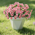 12 Bundles Artificial Flowers for Outdoor, UV Resistant Faux Mums with Eucalyptus Leaves Fake Plants for Outdoor Planters Greenery Boxwood Porch Patio Decoration