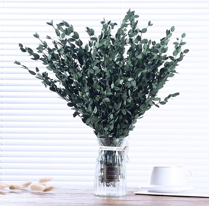 Dried Eucalyptus Leaves Preserved Greenery Stems, 8-14 PCS Eucalyptus Garland Branches, 4 OZ Green Leaves Plant Bundle for Wedding Wreath Party Home Decor Vase Filler