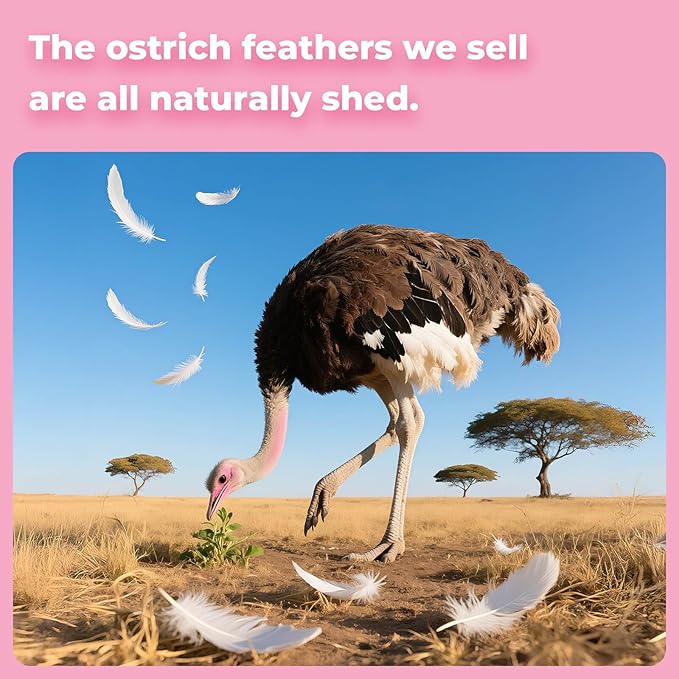 Piokio 20 pcs Pink Ostrich Feathers Plumes 8-10 inch(20-25 cm) Bulk for DIY Handmade Artwork and DIY Clothes, Feather Pens, Dream Catcher, Table Decoration.