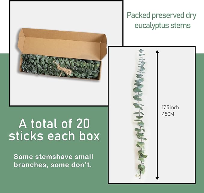 (20Pcs) Dried Eucalyptus Stems - Red, Real Long Eucalyptus, Dried Flowers for Vase, 17" Floral Arrangement, Wedding (Blue)