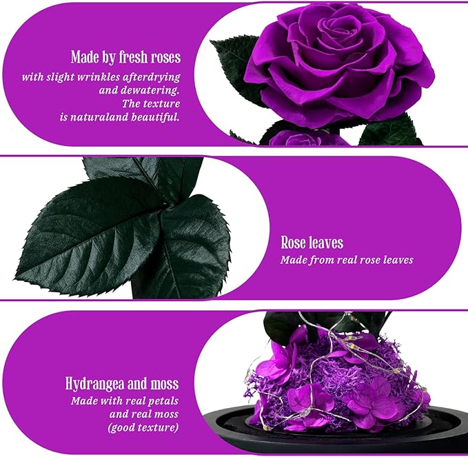 3 Preserved Flowers Roses in Glass Dome with Light for Beauty and The Beast Decor Real Rosas Eternas for Women Mom Birthday,Forever Purple Roses for Delivery, for Wife Girlfriend Her
