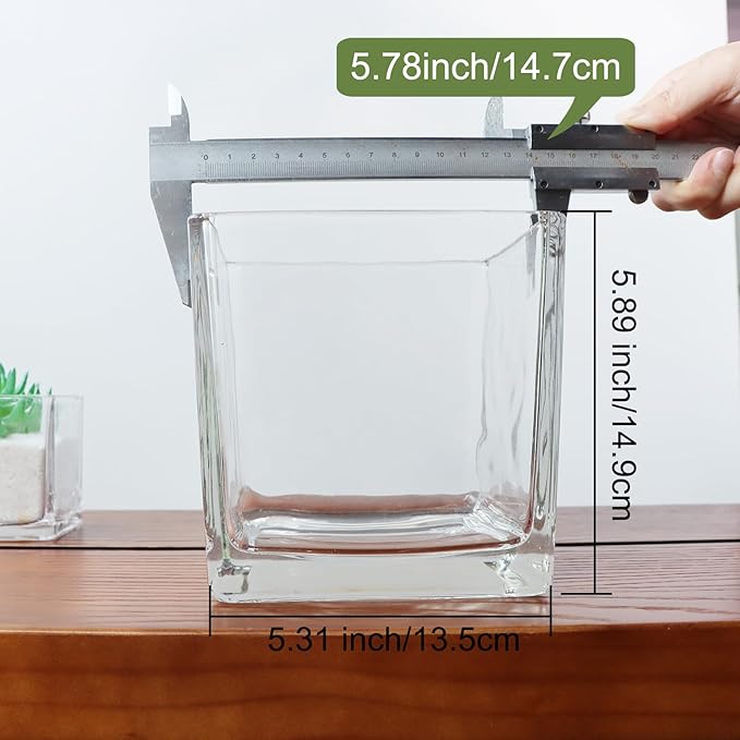 1 Pack Square Glass Vase 6" x 6" x 6", Clear Flower Vase for Centerpieces, Candle Holder for Wedding Party Events, Home Décor