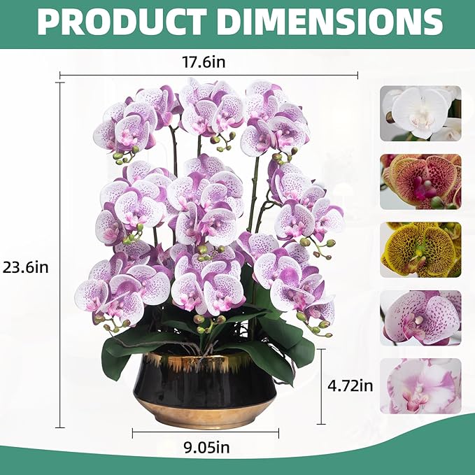 CXGS Orchids Artificial Flower Real Touch Faux Orchid in Large Ceramic Vase Realistic Fake Phalaenopsis Floral Arrangements Centerpiece Table Home Indoor Decor