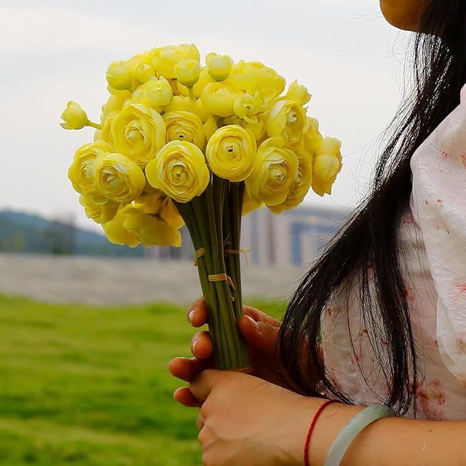 24 Pcs Ranunculus Yellow Artificial Flowers 10.5", Mini Faux Silk Ranunculus with Stem, Fake Flowers for Home Decor Indoor Wedding Bouquets Centerpieces (Light Yellow)