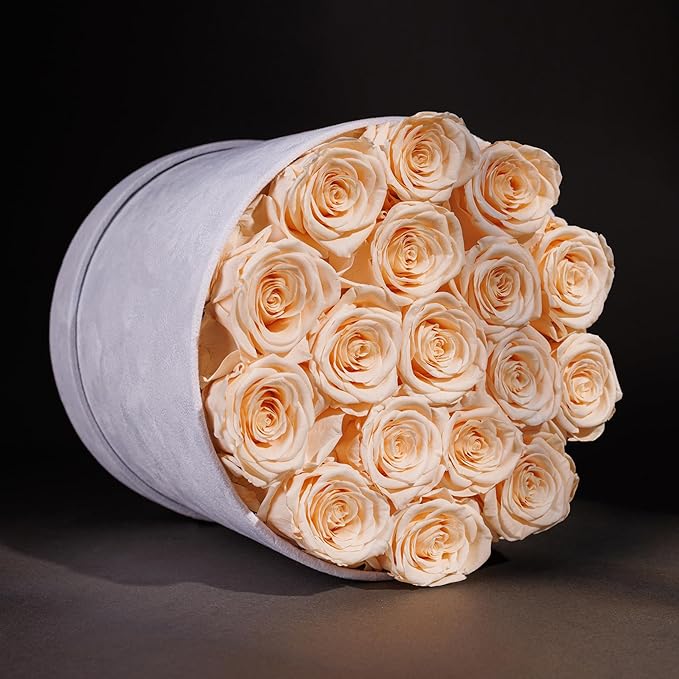 17 Flowers in a Luxury Suede Box, Birthday Gifts for Women, Preserved Flowers, Mothers Day Roses Gift for Mom, Champagne