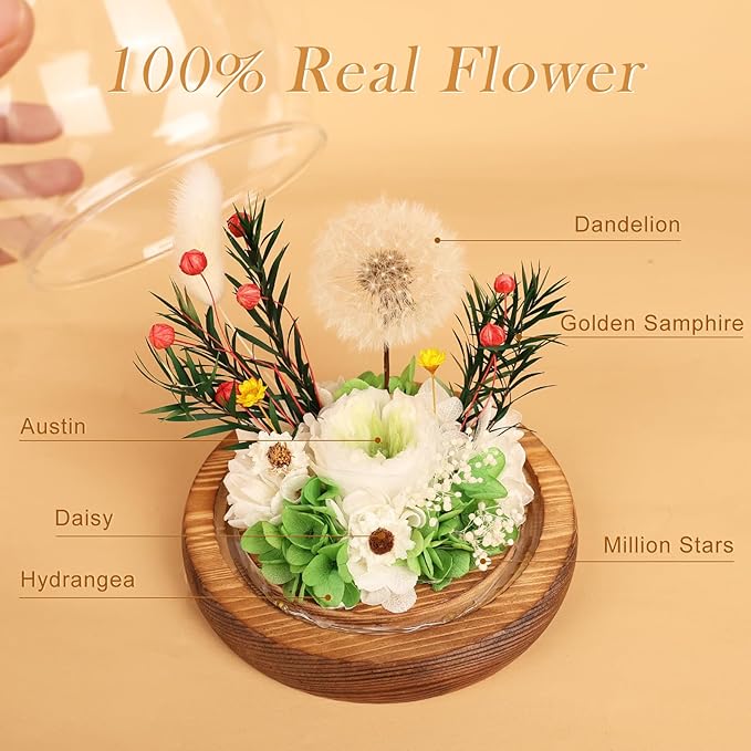 FIACO Gifts for Women Preserved Flower Forever Dandelion Rose in Glass Real Fresh Flowers for Delivery Prime Mothers Day Birthday Gifts for Mom Grandma Sister Wife Eternal Dandelion Flower Decor Green