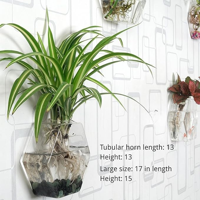Wall-Mounted Acrylic Planter for Hydroponic Plants – Hexagonal Vase Large, Modern Transparent Design for Home & Office Decoration