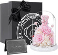 JoyFlower Preserved Flowers with Teddy Bear, Unique Pearl Roses Birthday Gifts for Women, Eternal Flower Rose Bear with Gift Box for Mom Girlfriend Wife on Valentine's, Mother's Day, Anniversary(Pink)