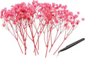 PATIKIL Mini Dried Gypsophila Flower Kit, 30Pcs 4 Inch Light Pink Natural Pressed Floral Bundles with Tweezer for DIY Resin Crafts Gift Wedding Christmas Card Decor Flower Bouquets