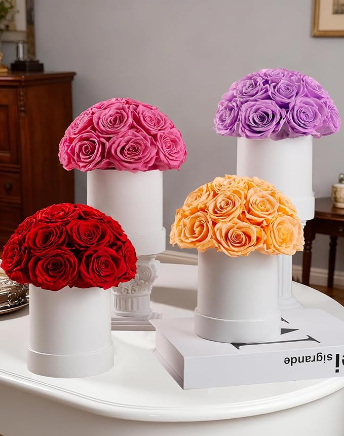 Preserved Roses Dome in a Box, Forever Real Roses Decor, Eternal Flowers for Delivery Prime, Best Gifts Birthday, Wedding, Anniversary, Mother's Day, Christmas for Her, 18-Pieces (Purple)