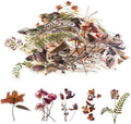 Natural Flower Sticker for Scrapbooking,PET Nature Plant Stickers Floral Stickers Vintage Craft Sticker,for Journaling Scrapbooking Clear Flower Decal (Style A)