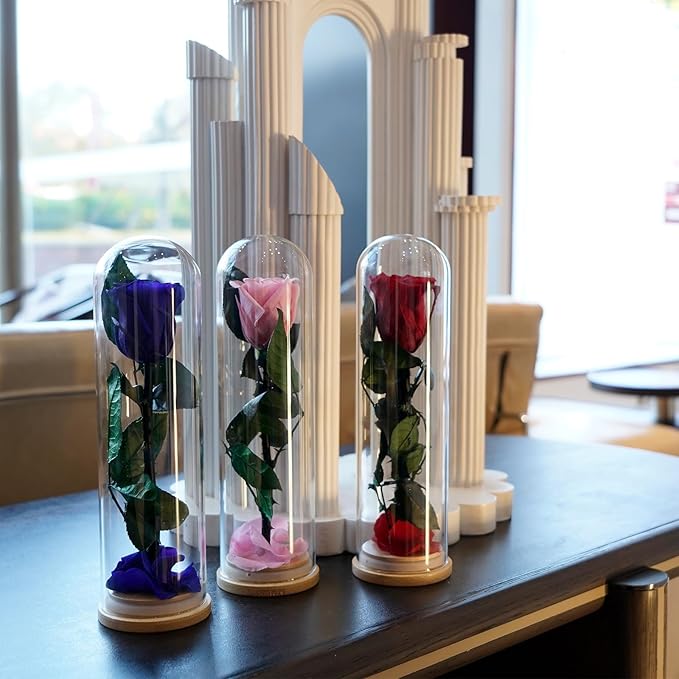 9.8 inches Preserved Rose in Glass Dome Rose with Green Leaves Eternal Love and Natural Beauty for Grandma Mom Girlfriend Classmate Friend Lover (Pink)