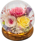 Eternal Flowers for Decoration: Preserved Flowers in Glass Dome, Unique Forever Flower Gift for Her BBF – Perfect flower arrangement for Home Décor - Flowers for Delivery Prime (Red)