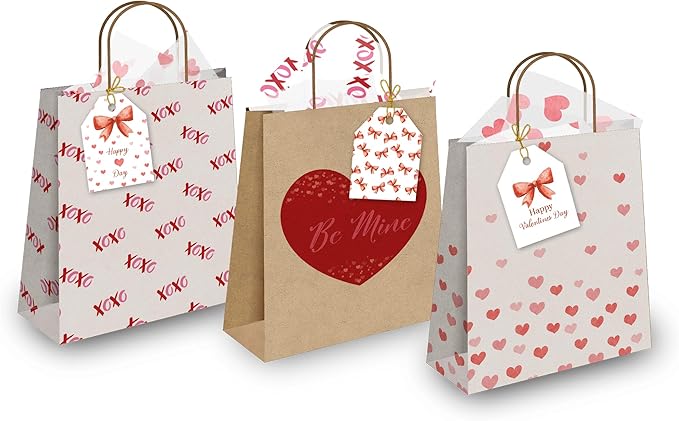 Pro Supply Global 24 Count of 2.5 Inch x 3 Inch Pre Strung Bows Valentine's Day Gift Tag Assorted Printed Designs on Large Cardstock Gift Hang Tags - Ideal to Use on Bags
